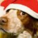 Ryan Hunsinger - @RyanHunsinger1 - Twitter