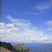 atom_ant (@xperience23) 's Twitter Profile