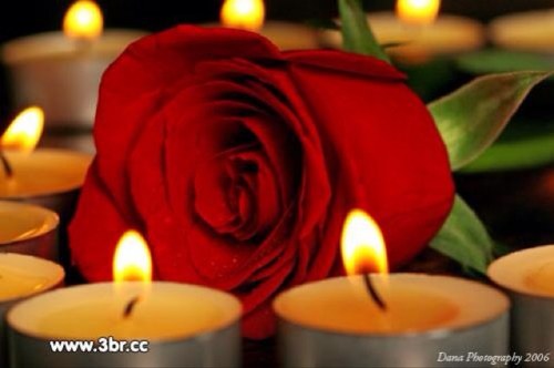 اللهمّ أحْسِنْ عَاقِبَتَنَا فِي الأُمُورِ كُلِّهَا، وَأجِرْنَا مِنْ خِزْيِ الدُّنْيَا وَعَذَابِ الآخِرَةِ