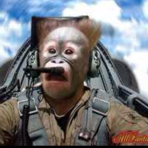 I am a gimp for all thing aero