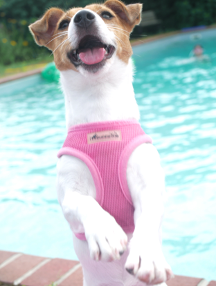 Leica39's profile picture. 