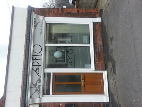 tilleypelo's profile picture. 