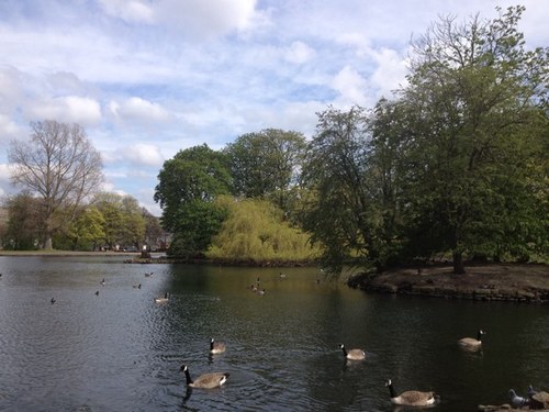 warmingwinter's profile picture. 