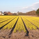 Jan prins - @jan_prj - Twitter