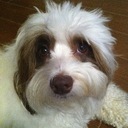 Donna Rochon - @donnarochon - Twitter