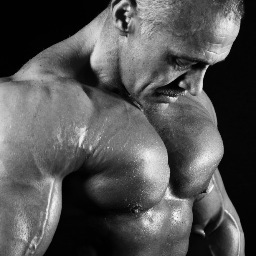 NABBA British Over 50s Champion 2013. NABBA World Champion 2013. Finalist at upcoming NABBA 2013 Mr Universe. paulrowe.bb@gmail.com