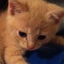 Pam Dick - @pamdick - Twitter