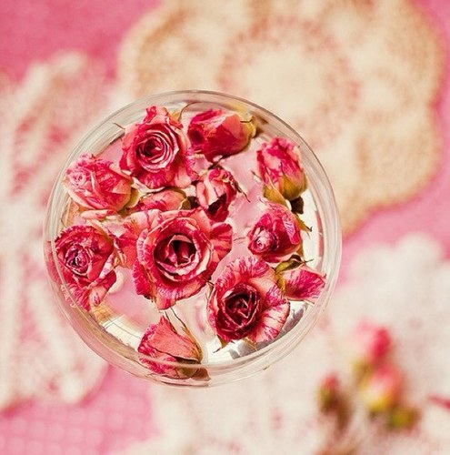 NShell74's profile picture. 