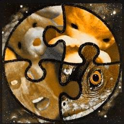 Chrysanline's profile picture. Passion pour la  #guitare et le #chant