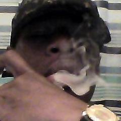 Everthang dolla signs $$$$$$$bit