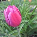 DanAmy Eckel - @DanAmyEckel - Twitter