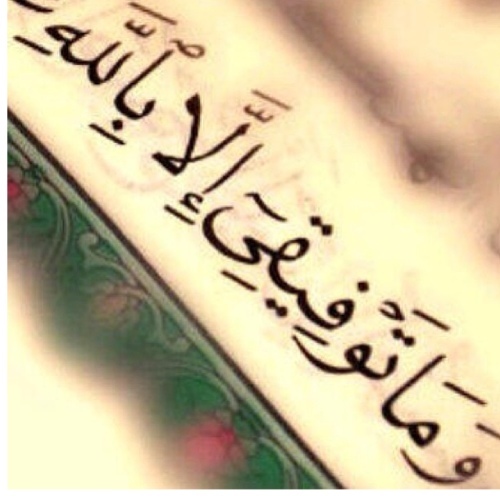 nona7733's profile picture. اللهم اجعل مانكتبه شاهدا لنا لا علينا
        (اللهم احسن خاتمتي)