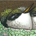 Kate Halpin - @KateHalpinArt - Twitter