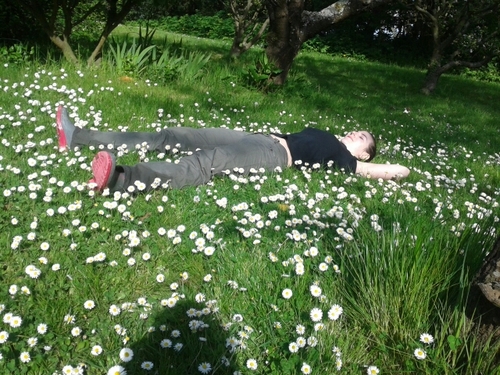 digipapillon's profile picture. 