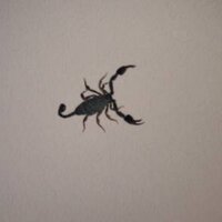 St. Efan (@knollos) Twitter profile photo