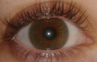 yo y mis circunstancias.....que ya son suficientes jajaja