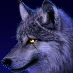 Just a wolf, 2 years old, unable to speak, half blind (right eye) abused . RP 18+