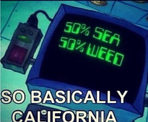 Pot Lovers United