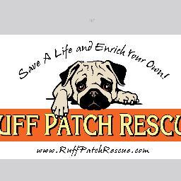 Animal Rescue Organization