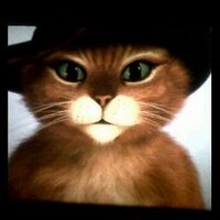Danivic42 (@variasm) 's Twitter Profile