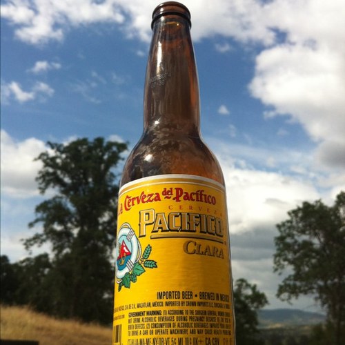 duderandall's profile picture. 