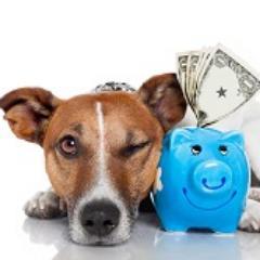 Premium Pet Care is an Australian, family owned and operated company. We are a distributor of the highest quality pet care products on the market.