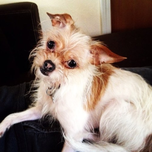 benekstedt's profile picture. Singer/Songwriter :: Warehouse Operations Manager/Prepare Me America