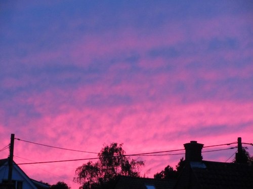 mandysm54065567's profile picture. 