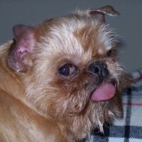 Dave (@daver12209) 's Twitter Profile