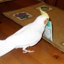 Sandee  Moore - @sandee1906 - Twitter