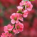 Esperanza Serrano - @EsperanzaSerr19 - Twitter