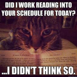 problemsofcats's profile picture. #CatProblems Life is so hard as a cat! I have to sleep in my window bed alone all day! I'm judgment-proof. Have you cleaned by litter box yet?