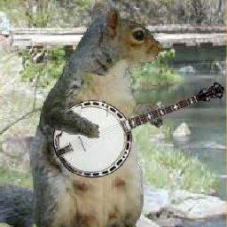 Squirrels4Girls's profile picture. Replace the word GIRL(s) with SQUIRREL(s) in any line to a song and try not to laugh...it's just plain old squirrel fun!  We RT all of your attempts @ us!