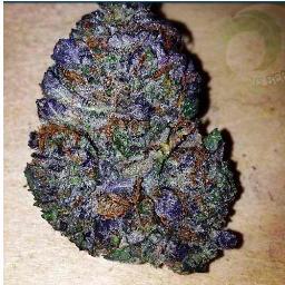 http://t.co/6YCVaQaBfM
 #OGS 
Smoke high grade till im high