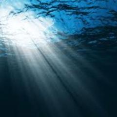 Individuals supporting balanced offshore domestic and international policies supporting all ocean users