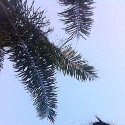 Jhamoo's profile picture. F