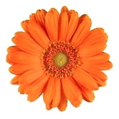 minaotsuki's profile picture. 東京都の行政書士です。会社設立、法人設立、NPO設立、ビジネス契約書作成、許認可申請などを専門業務にしています！中小企業診断士にもなり、知的資産経営のコンサルティングも専門にしています。