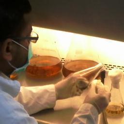 Jr. Research Fellow
HEJ Research Institute of Chemistry,
International Center for Chemical and Biological Sciences.
University of Karachi, Karachi.
