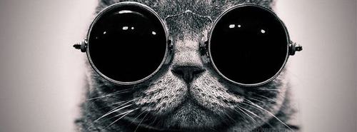 i like goku cats music and my chemro, s.o.a.d .a.t.l greenday r.j.a paramore b.v.b tonight alive a skylit drive ect. plus art and zombies will fallow bck asap