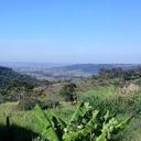 Robin oo - @EricCost - Twitter