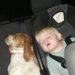 bertpellis's profile picture. 