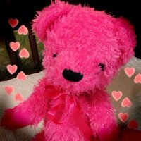 まみし (@mamishistoo) 's Twitter Profile Photo