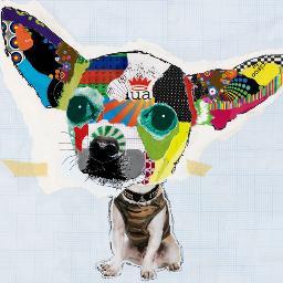 DinoChangZ's profile picture. 