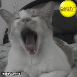 johnwee1975's profile picture. 