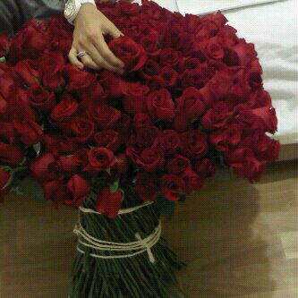 ‏ويُنبت الله من شقوق الضيق فرجًا فإطمئن💚