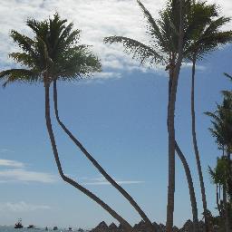 jt3jt3's profile picture. Thinking a lot about less and less