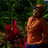 dwi marita