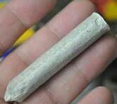 smoka doobie Daily#smokedoobies #stonernation