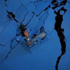 Tweets inspired by the Anne Landa Award for Video and New Media Arts 2013 @ArtGalleryofNSW