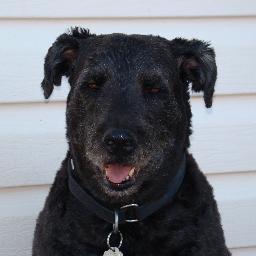 EvePoirier's profile picture. 